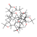 biselyngbyaside