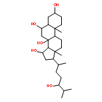 (3beta,5alpha,6alpha,15alpha,24S)-Cholestane-3,6,8,15,24-pentol