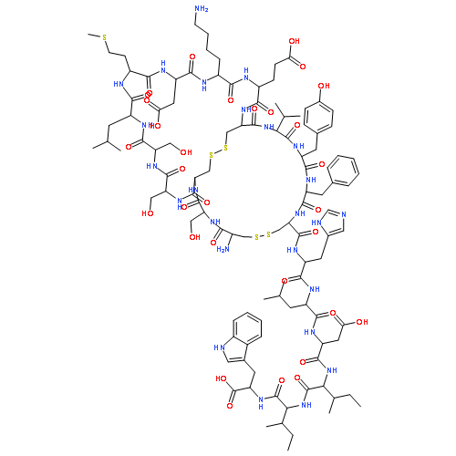 endothelin 1