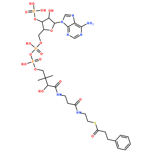 Coenzyme A,S-benzenepropanoate