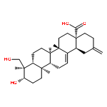 3beta-3,23-Dihydroxy-30-nor-12,20(29)-oleanadien-28-oic acid