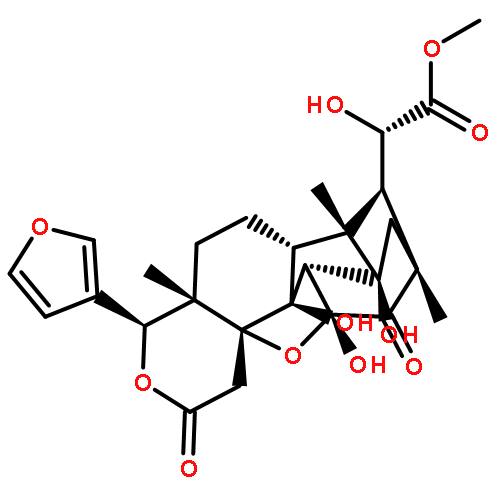 2-METHOXY-2-METHYLPROPAN-1-OL