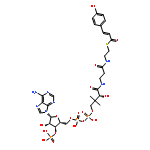 Coenzyme A,S-[(2E)-3-(4-hydroxyphenyl)-2-propenoate]