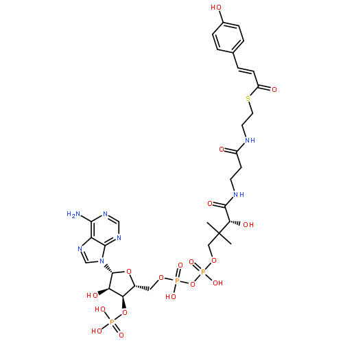 Coenzyme A,S-[(2E)-3-(4-hydroxyphenyl)-2-propenoate]