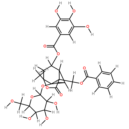 4-O-galloylalbiflorin
