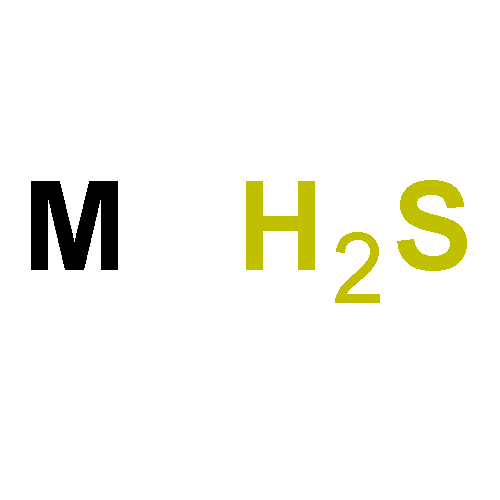 (S)-HM3