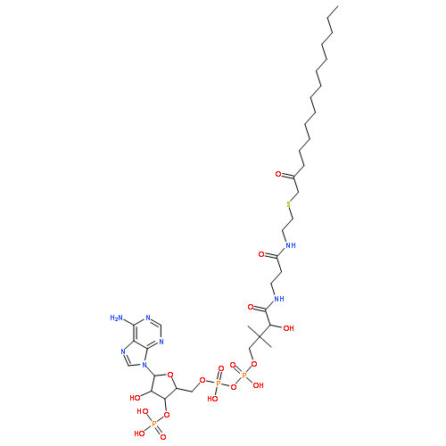 Coenzyme A,S-(2-oxopentadecyl)-