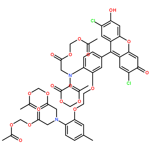 fluo 3-am