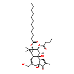 phorbol