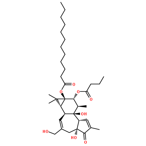 phorbol