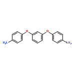 RodA protein