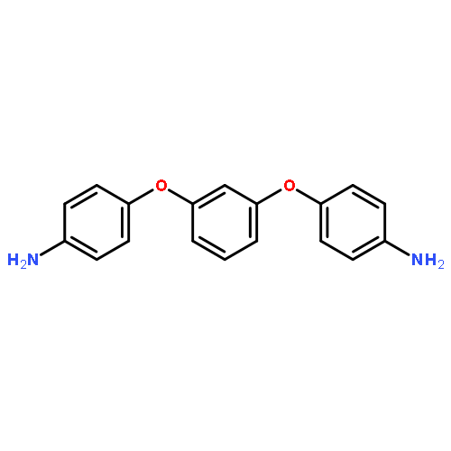 RodA protein