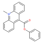 9-phenylcarboxylate-10-methylacridinium