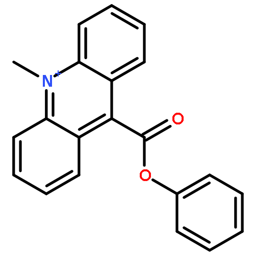 9-phenylcarboxylate-10-methylacridinium