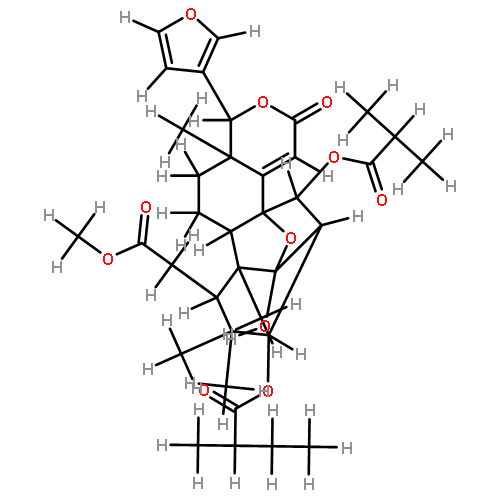 xylorumphiin C