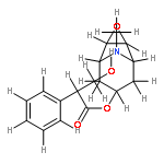 (-)-N-methylscopolamine