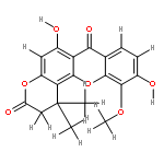 neriifolone B