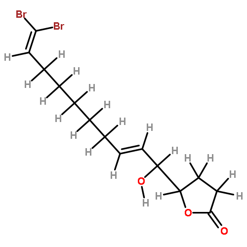 xestospongiene I