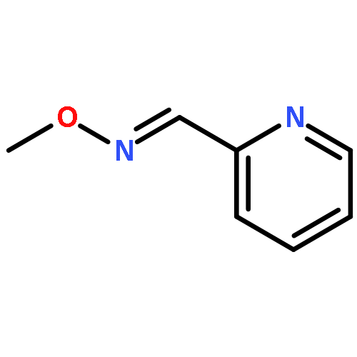 2-Pyridinecarboxaldehyde,O-methyloxime,(E)-(9CI)