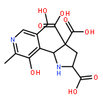 2,4,4-Pyrrolidinetricarboxylicacid, 5-[3-hydroxy-5-(hydroxymethyl)-2-methyl-4-pyridinyl]-