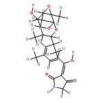 tirandamycin E