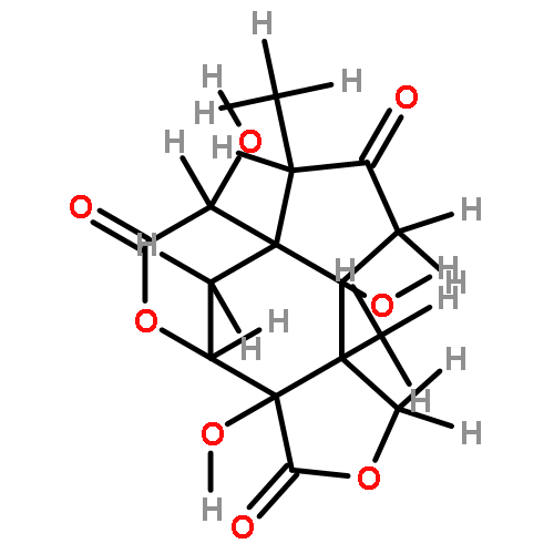 2-oxoneomajucin
