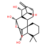 Kaur-16-en-20-oic acid,6,7,7,14,15-pentahydroxy-, 20,7-lactone, (6b,7a,14R,15b)-