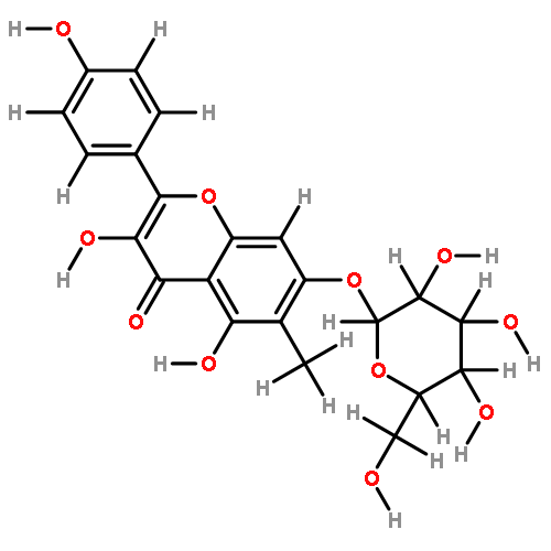 3,5,7,4'-tetrahydroxy-6-methylflavonol-7-O-beta-D-glucopyranoside