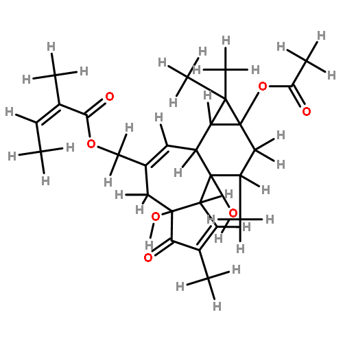 13-acetoxy-20-O-angeloyl-12-deoxyphorbol