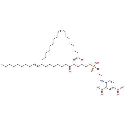 2,4-dinitrophenyl-dioleoylphosphatidylethanolamine