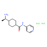 Y-27632 (hydrochloride)