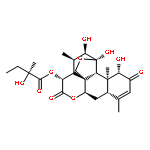 Picras-3-ene-2,16-dione,11,20-epoxy-1,11,12-trihydroxy-15-[(2S)-2-hydroxy-2-methyl-1-oxobutoxy]-, (1b,11b,12a,15b)- (9CI)