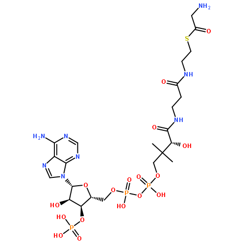 Coenzyme A,S-(hydroxyacetate) (9CI)