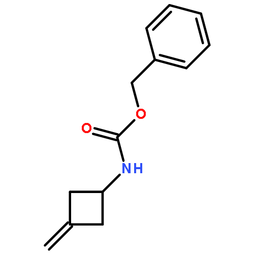 N-(3-Methylenecyclobutyl)-carbamic acid phenylmethyl ester