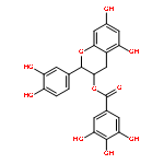 (2S,3R)-2-(3,4-Dihydroxyphenyl)-5,7-dihydroxychroman-3-yl 3,4,5-trihydroxybenzoate