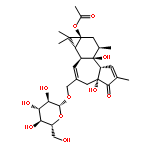 fischeroside A