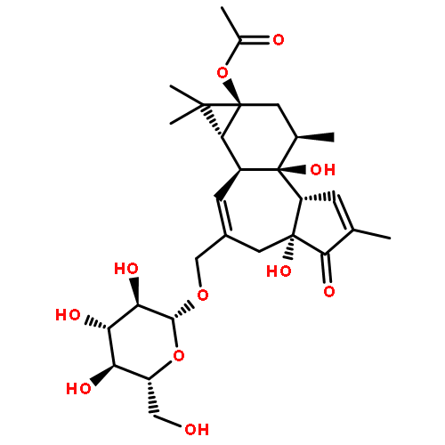 fischeroside A