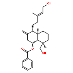 (2S)-2-(4-{5-[(2S)-5,7-DIHYDROXY-4-OXO-3,4-DIHYDRO-2H-CHROMEN-2-YL]-2-HYDROXYPHENOXY}PHENYL)-5,7-DIHYDROXY-2,3-DIHYDRO-4H-CHROMEN-4-ONE