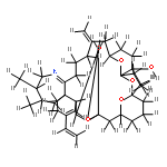 pinnatoxin G