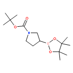 tert-Butyl 3-(4,4,5,5-tetramethyl-1,3,2-dioxaborolan-2-yl)pyrrolidine-1-carboxylate