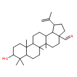 Betulinicaldehyde