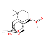 Rabdocoetsin D