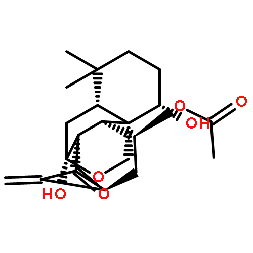 Rabdocoetsin D