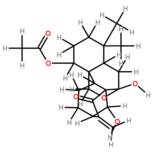 Rabdocoetsin B