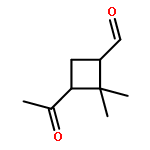 Cyclobutanecarboxaldehyde, 3-acetyl-2,2-dimethyl- (9CI)