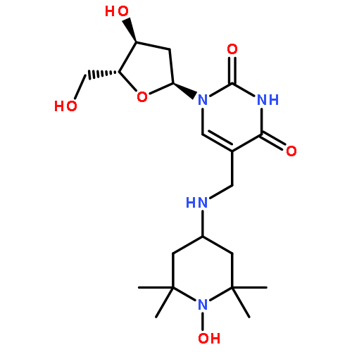 1-Piperidinyloxy,4-[[[1-(2-deoxy-b-D-erythro-pentofuranosyl)-1,2,3,4-tetrahydro-2,4-dioxo-5-pyrimidinyl]methyl]amino]-2,2,6,6-tetramethyl-