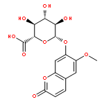 SCOPOLETIN B-D-GLUCURONIDE