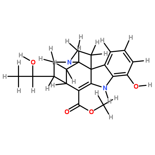 19-epischolaricine