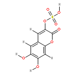 6,7-dihydroxycoumarin-3-sulfate