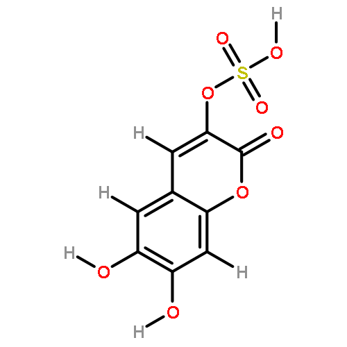6,7-dihydroxycoumarin-3-sulfate